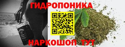 крисы Партизанск