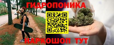 кокс Пушкино