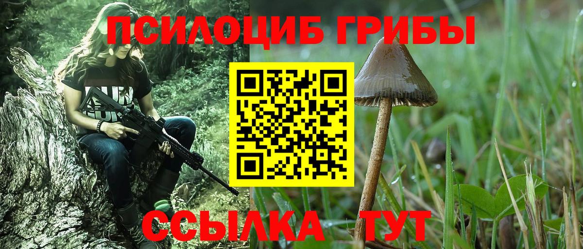 Сальск  Галлюциногенные грибы MAGIC MUSHROOMS  наркотики  Галлюциногенные грибы Cubensis  Вход с VPN 