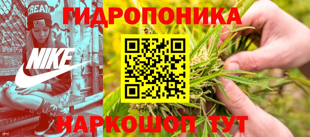 МАРИХУАНА индика Сальск